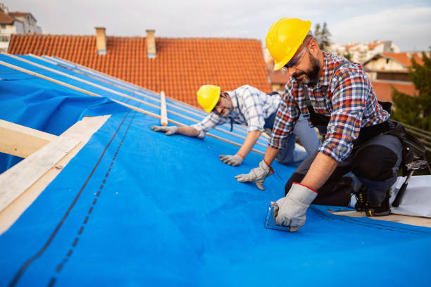 Best Roofing Contractor Near Me  in University Center, VA
