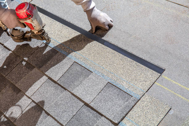 Best Metal Roofing Contractor  in University Center, VA